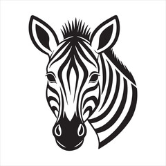 plain zebra vector illustration