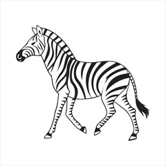 plain zebra vector illustration