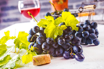 Red wine grapes on white table