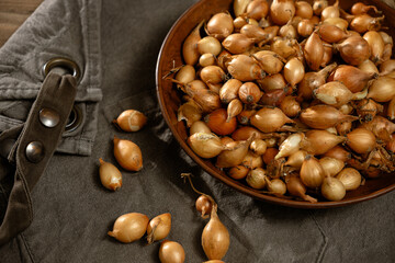 Freshly harvested shallots arranged beautifully in a rustic bowl on a textured fabric background in...