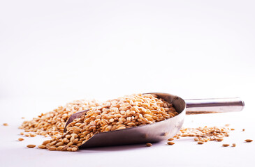 grain on the table, wheat grain