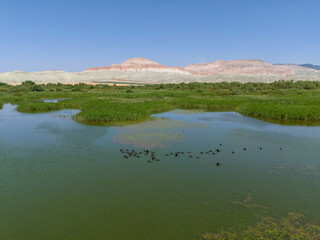 Nallıhan Kus Cenneti Beypazari Ankara Panoramic view of a tranquil wetland with birds and colorful hills.High-angle, wide shot of a serene wetland area. Nallihan Bird Sanctuary Turkey Turkiye 