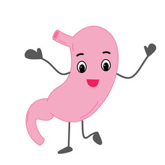 healthy stomach happy cute illustration medical useful for healthcare industry.eps