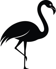 flamingo bird vector,  Flamingo bird animal clipart