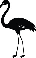flamingo bird vector,  Flamingo bird animal clipart