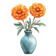 A Marigold In A Vase, watercolor drawing vector, isolated on a white background.