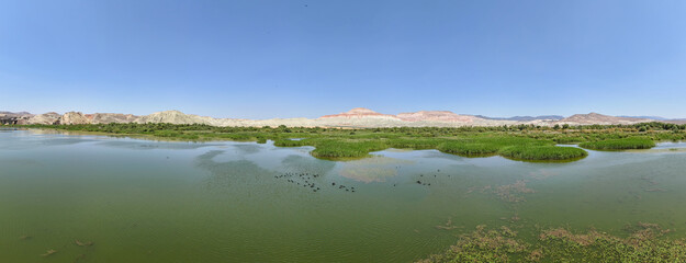 Turkey Ankara Nallihan Bird Sanctuary Beypazarı Panoramic view of a serene lake with lush greenery.A wide, panoramic shot of a calm lake surrounded by vibrant green vegetation. NALLIHAN KUS CENNETI