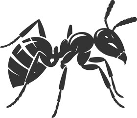 Vector ant silhouette black illustration drawing