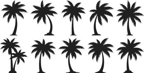 Tropical Coconut Tree Silhouette Set – Stylish Black Vector Collection