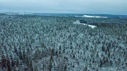 Aerial view over Black Forest on winter days, Germany