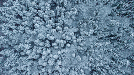 Aerial view over Black Forest on winter days, Germany
