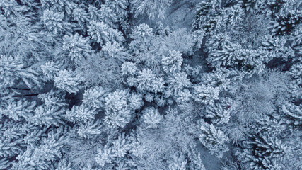 Aerial view over Black Forest on winter days, Germany