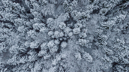 Aerial view over Black Forest on winter days, Germany