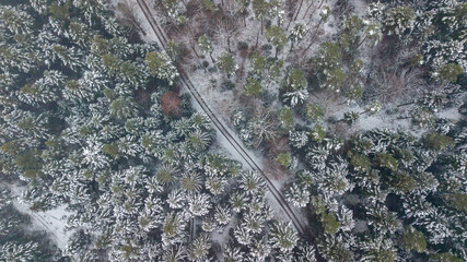 Aerial view over Black Forest on winter days, Germany