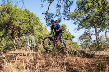 Mountain biker riding bike in green forest