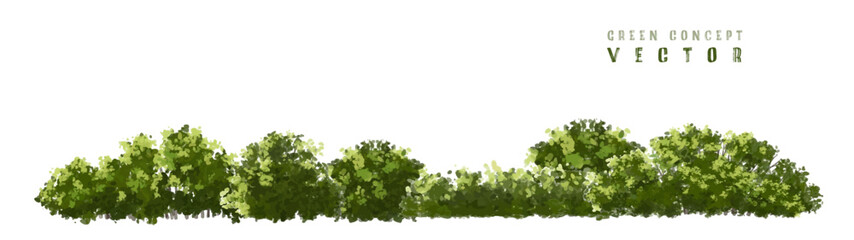  Vector watercolor green  tree or forest side view isolated on white background for landscape and architecture drawing,elements for environment or and garden,Shrub for section