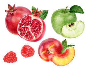 Watercolor Realistic Pomegranate, Green Apple, Peach and Raspberry Illustration
