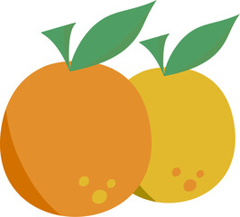 Minimalist Chinese New Year Elements Vector Pack