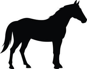 Obraz premium Black Horse Silhouette Standing Side View