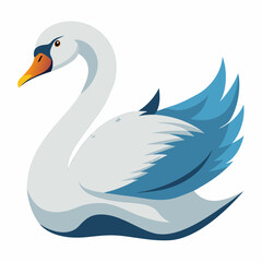 swan vector illustration, animal, isolated on white background