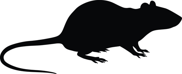 Rat Silhouette Vector Illustration

