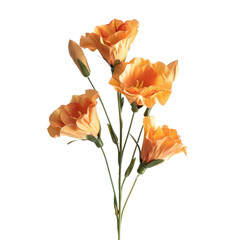 A bouquet of four delicate, peach-colored artificial flowers with green stems. background removed