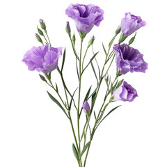 A bouquet of delicate light purple lisianthus flowers, elegantly arranged. background removed