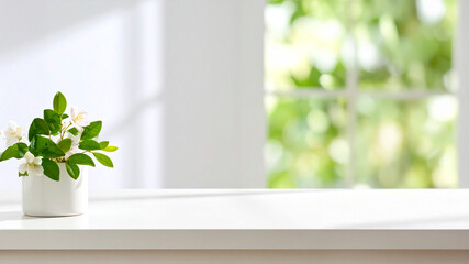 Potted Plant on a Sunlit Table in a Bright Modern Setting