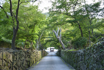 夏の興聖寺　山門へと続く琴坂(京都府宇治市)