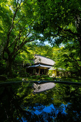 夏の教林坊