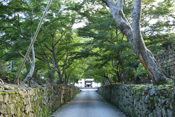 夏の興聖寺　山門へと続く琴坂(京都府宇治市)