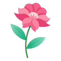 clove pink flower vector, on-white-back-ground