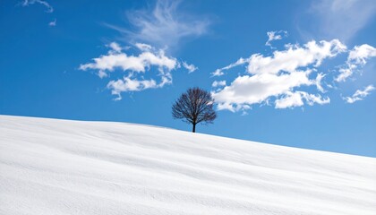 Serene winter landscape featuring solitary tree on snow-covered hill against blue sky