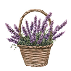 Obraz premium watercolor of A Heather Flower Basket, vector, isolated on a white background.