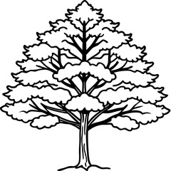 Snow-covered Tree line art vector