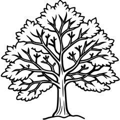 Snow-covered Tree line art vector