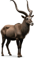 Obraz premium markhor isolated on white