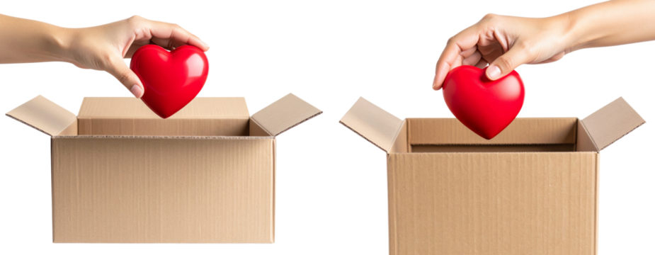  Female Hand Holding Red Heart Over Donation Box, Symbol of Charity and Love, isolated on transparent background PNG