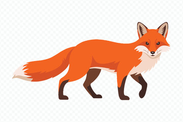 high-quality red fox vector image walking in forest silhouette, isolated on white background for digital and print media