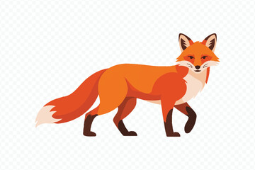 Obraz premium vibrant red fox vector clipart walking isolated on white background – suitable for children’s books and conservation campaigns