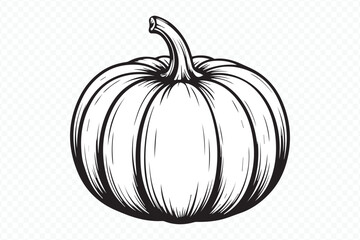 hand-drawn pumpkin vector illustration with intricate line art for autumn themed designs