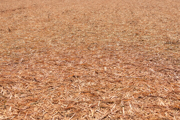 Natural brown wood chips mulch spread evenly across ground surface creating textured organic layer...