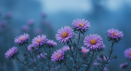 薄紫の花束 静かに咲く秋の花 神秘的風景