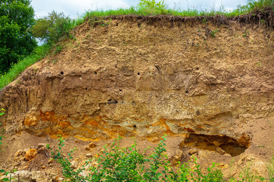 A steep section of sandy or clay soil with holes is a bird nest. Layers of loam with different colors. Kharkiv region, Ukraine