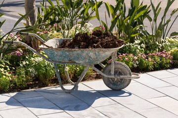 Garden plot during planting of flowers on a favorable sunny day