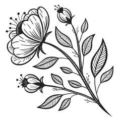 Floral Doodle Vector Sketch
