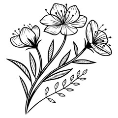 Handcrafted Botanical Vector
