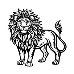 lion vector illustration