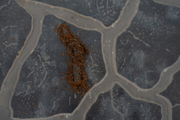 A dense swarm of red ants covers and feeds on a dead lizard on textured soil, indicating strong...