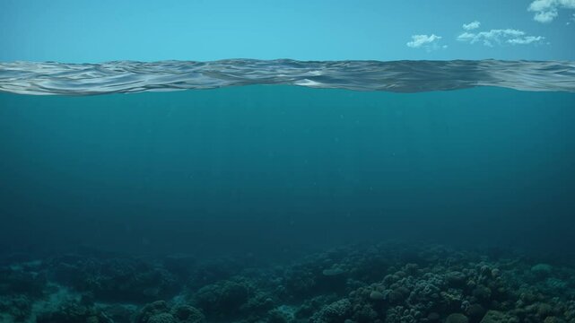 Serene Ocean Split View With Coral Reef Underneath and Blue Sky Above